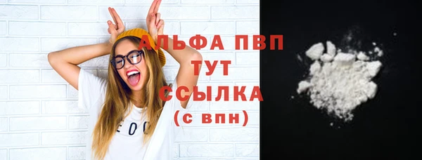 индика Семёнов