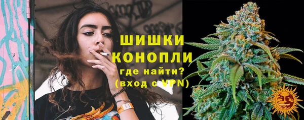 индика Армянск