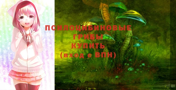 индика Армянск