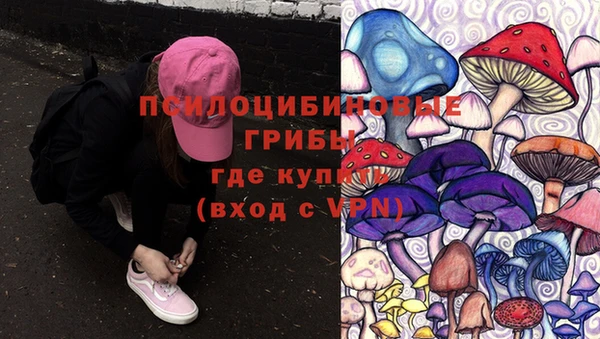 стафф Баксан