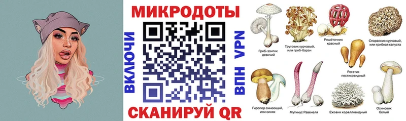 Псилоцибиновые грибы Psilocybe  закладка  Новоржев 
